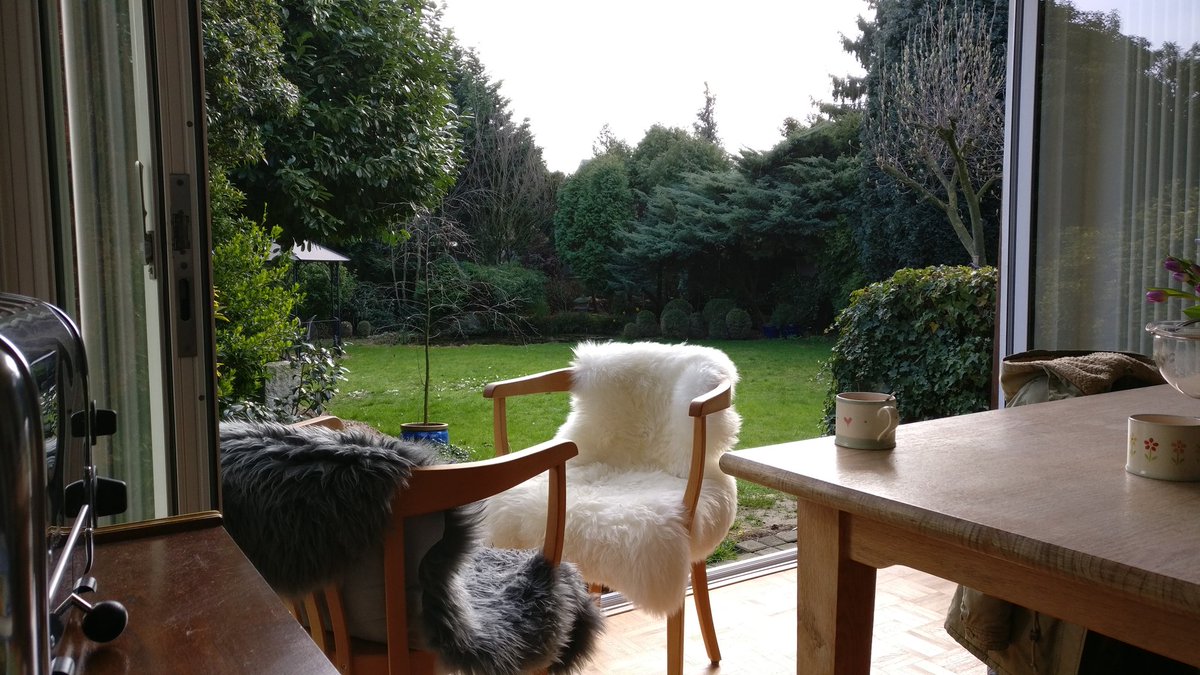 Draußen sitzen, ohne draußen zu sitzen. Hach! #newhome