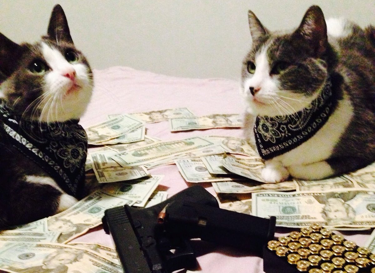 CatsAndMoney's tweet image. listening to #RTJ3 while we get ready 4 work @therealelp @KillerMike