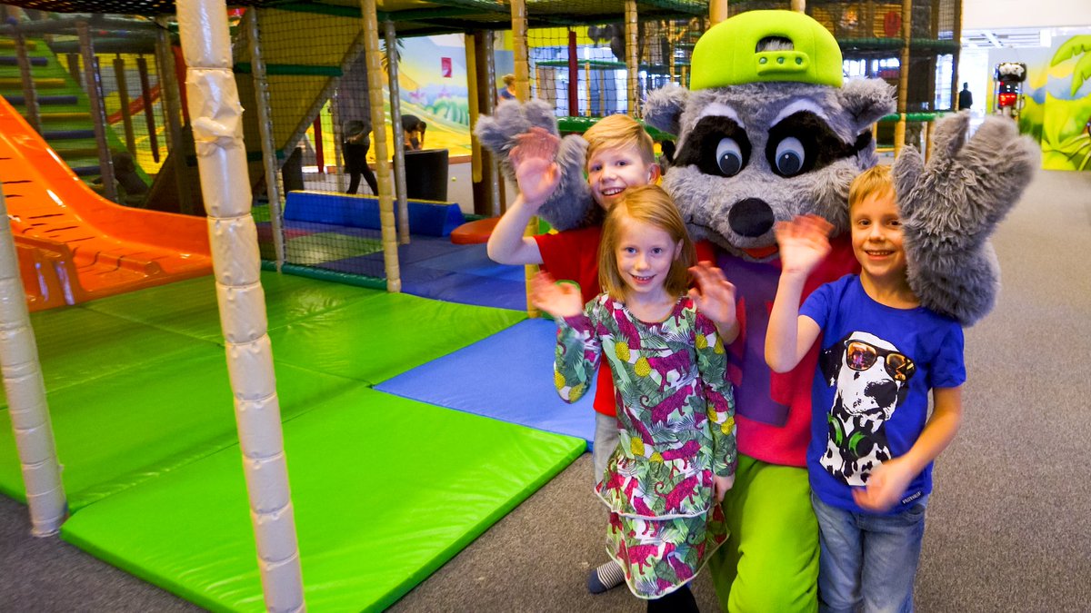 Andy Raccoon We recently got to play with Andy, the friendliest raccoon we've ever ...