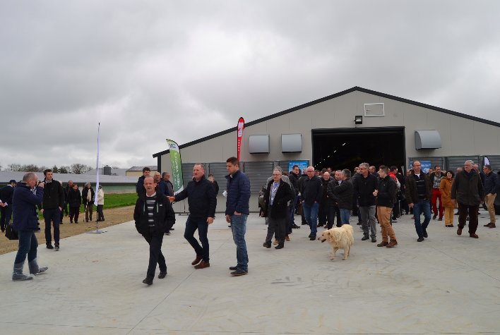 Avril's tweet photo. [CP] #Sanders accompagne les éleveurs ds le dvlpmt de filières d’excellence pour reconquérir le marché du poulet FR https://t.co/0yrmkHia61 https://t.co/8lRwFf7Kgm