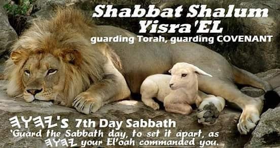 jesuis_VanessaW's tweet photo. πShabbat...qodesh (dedicate/set-apart) & zekar (remember). #cantwait #family
#shabbatprep #shabbatstudy #nestledinHISrest #shabbateating https://t.co/qfJR3uBMaU