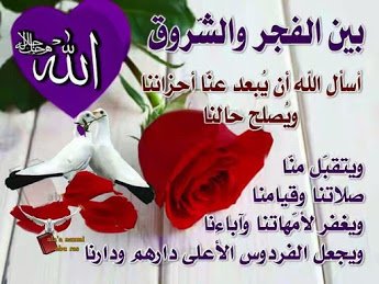 ywssf (@ywssf4) on Twitter photo 