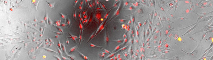 BiotechZone tweet media