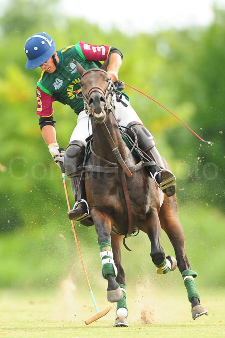 NachoCorbalan's tweet photo. Argentina Polo Tour https://t.co/Iohv8tpPt9