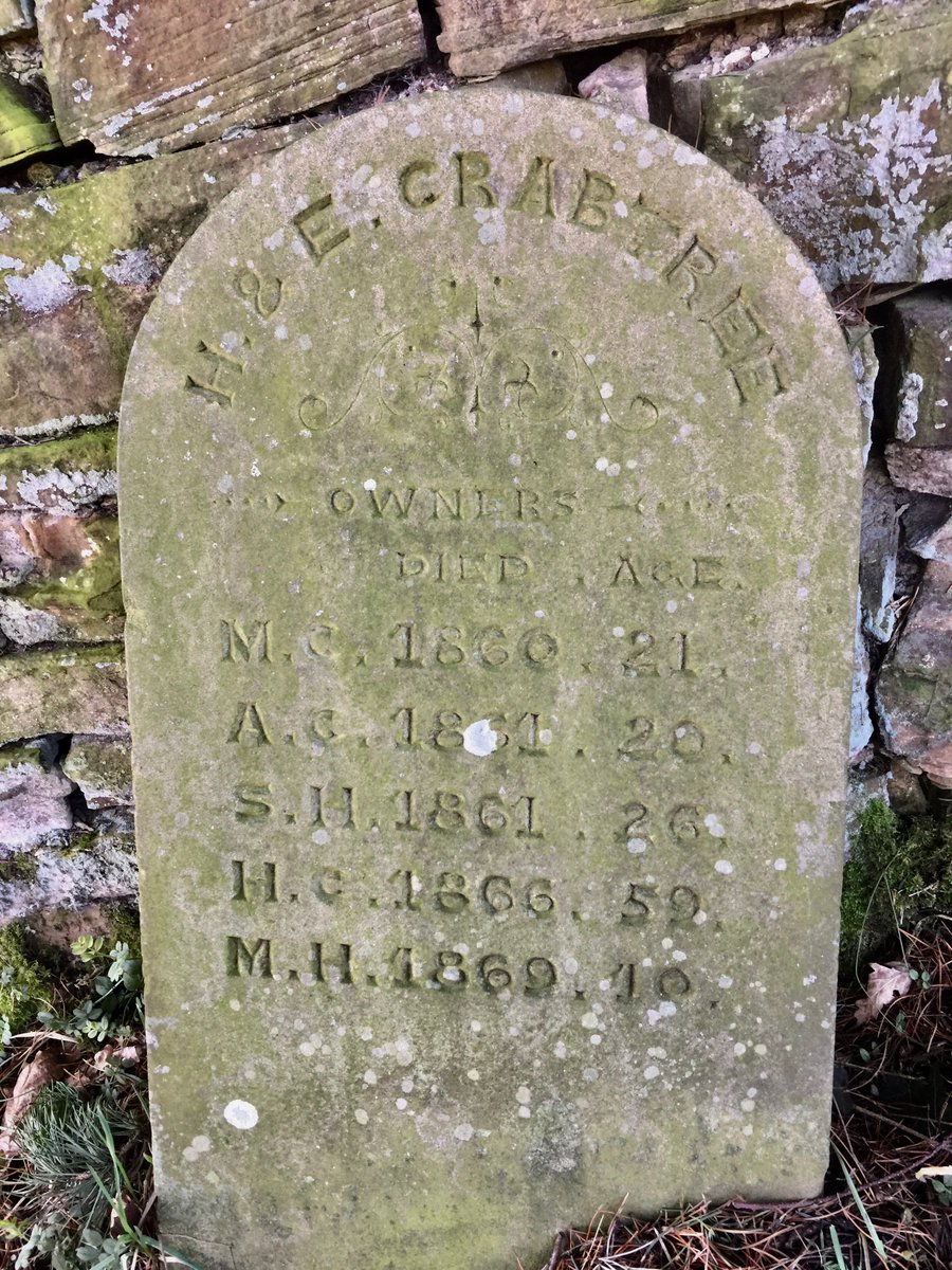 gravedetective's tweet photo. A novel way of recording deaths and ages. Names of owners of the plot recorded also. Haggate Baptist Chapelyard, Briercliffe, Lancashire: https://t.co/AQB879FLMk