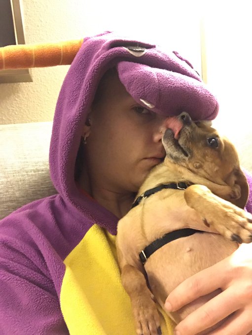 We are awake... kinda. #derpface #dramaticdog https://t.co/MxDfGpTPc9<a href="/tag/derpface"class="tags">#derpface</a><a href="/tag/dramaticdog"class="tags">#dramaticdog</a>