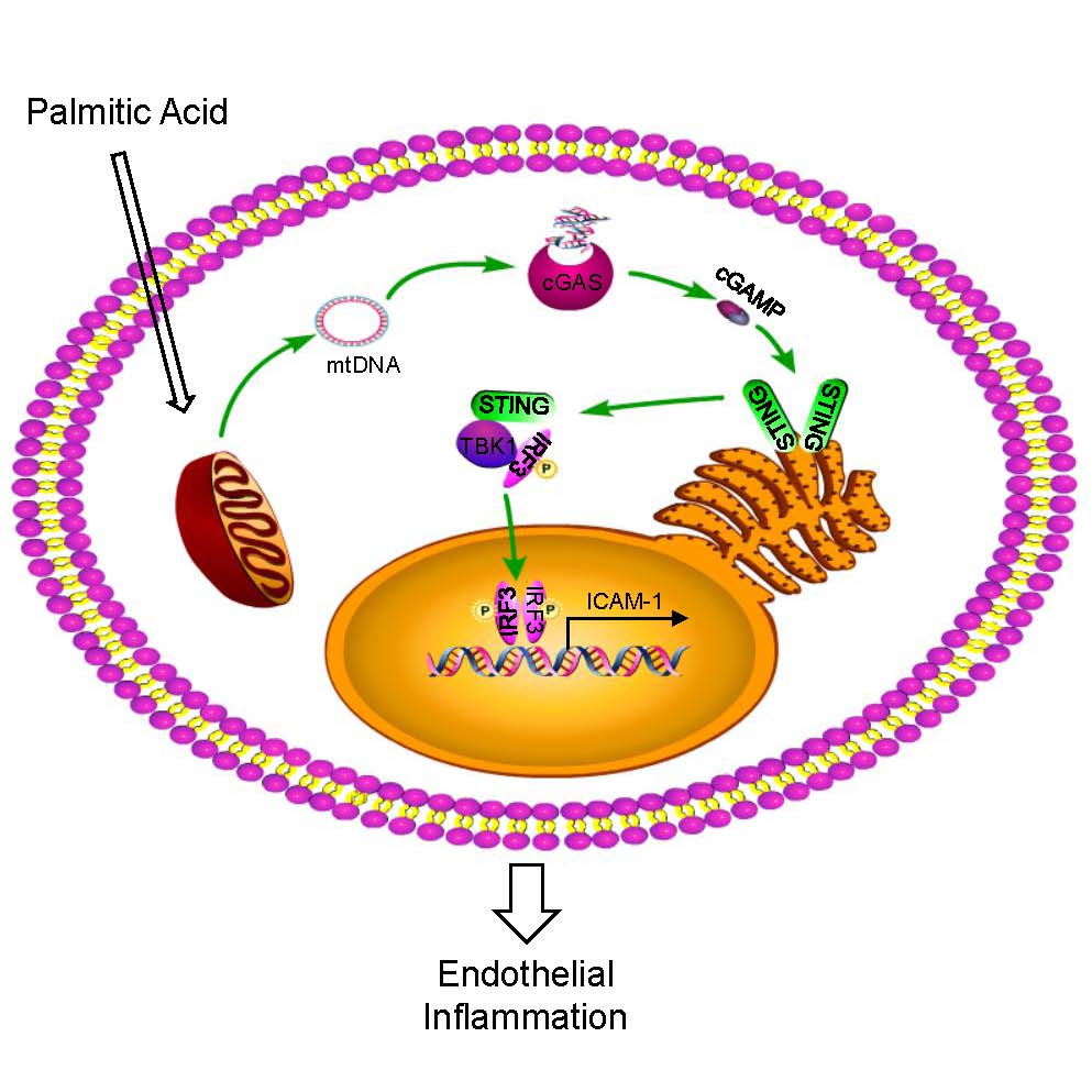 read Алфавитный Указатель к отысканию