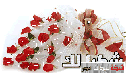 ywssf (@ywssf4) on Twitter photo 