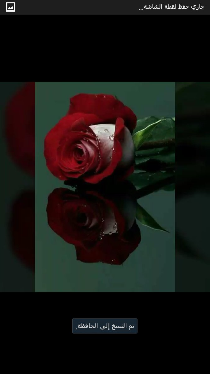 ywssf (@ywssf4) on Twitter photo 