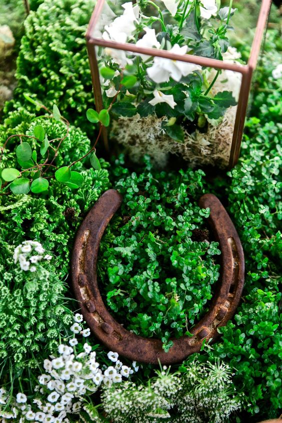 O'Shaughnessey tweet media