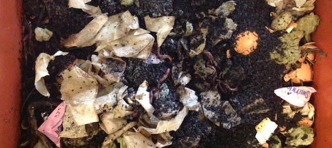 There's a waiting list in this city for compost pick-up!
 
ow.ly/2LlS309VOGF