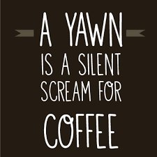 CoffeeViews's tweet photo. https://t.co/kn2fj0R3wF