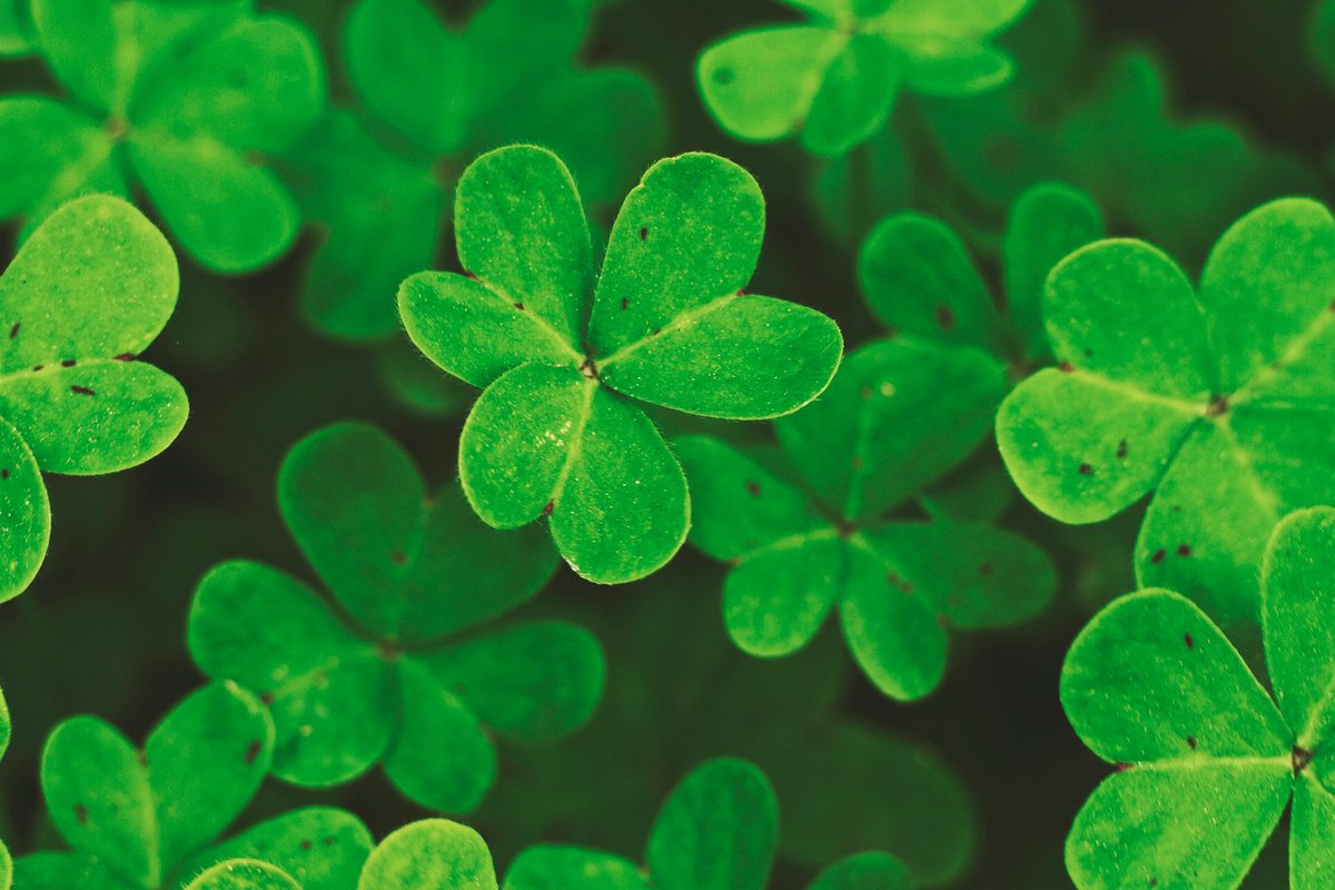eInteractiveInc's tweet image. Happy #StPatrick&apos;sDay from our family to yours!