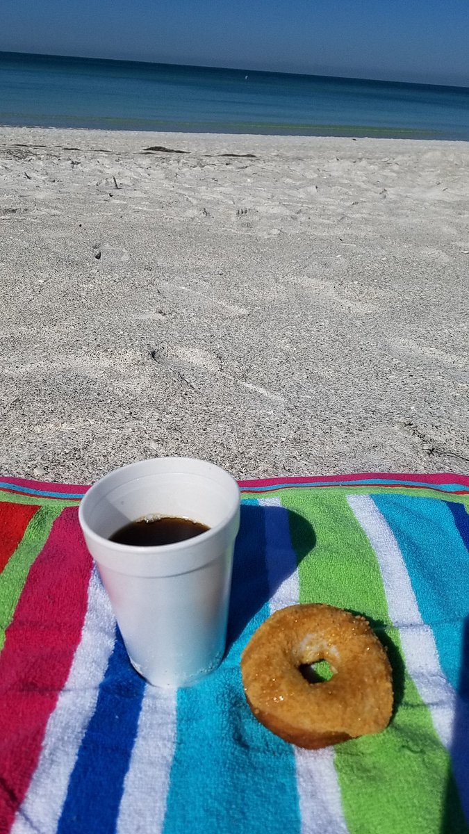 mariagatorita's tweet photo. @DonutXperiment #AMI #springbreak17 #StPatricksDay #KeyLimeDonut Not green, just delicious https://t.co/bL4yl28dJc
