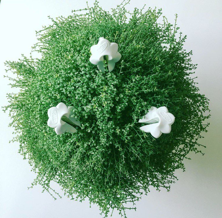 TeamSquidger's tweet photo. Happy St Patrick's Day from us at #Squidger HQ. #HappyStPatricksDay #Getmoreout #bestbeautybuy #beautyessential #luckyday https://t.co/0rIvTIsjbk
