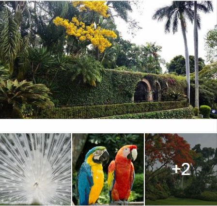 Bienvenidos a Las Mañanitas!
<a href="/las_mananitas/">Las Mañanitas</a>

goo.gl/mOuH3T