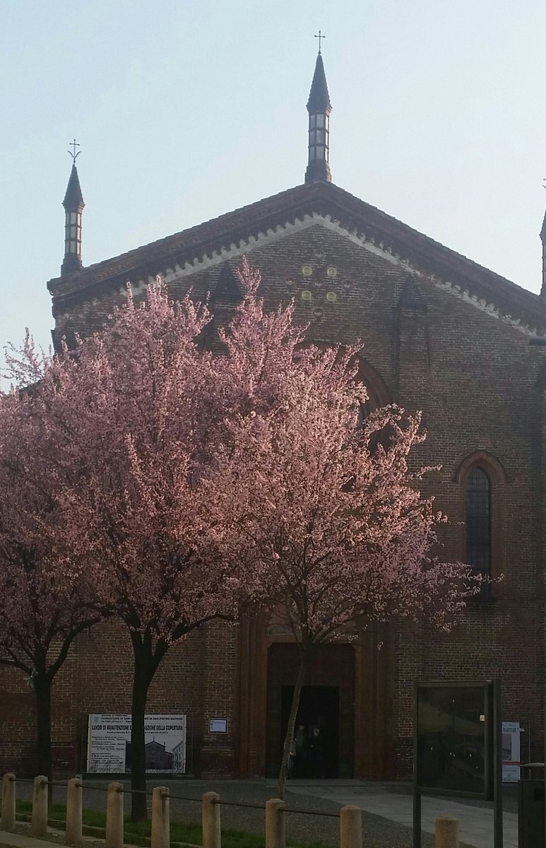 #Primavera brilla nell'aria e la colora
#UnMondoDiVersi 
#natura e #arte 
@Vigevanocity