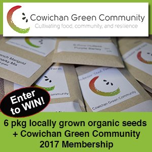 CONTEST - Spring! Win a <a href="/cowgreencom/">Cowichan Green Community</a> 2017 Membership + 6 pkgs seeds from Cowichan Incubator Seed Farm. Enter: ow.ly/rL7Z309Rlna
