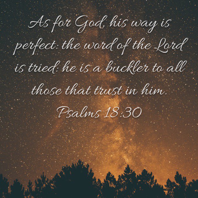 bible.com/1/psa.18.30.kjv