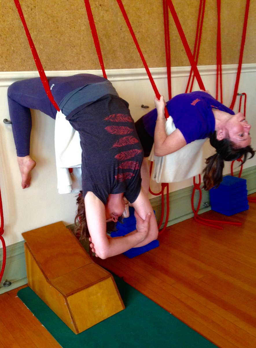 Hanging around in the ropes <a href="/MDIIY/">Iyengar Yoga</a> today #Iyengar #yoga teachers class with Christina Niewola <a href="/YogaYourselfuk/">Maureen Wray</a> <a href="/YogaInMCR/">Yoga in Mcr - Clare</a>  🙃