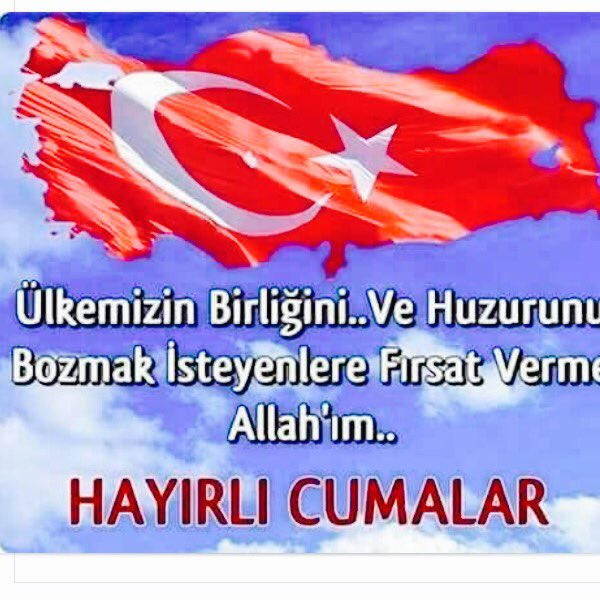 ali isci (@aliisci) on Twitter photo 