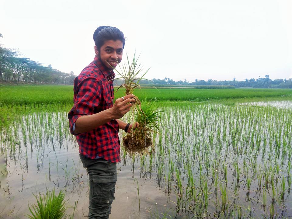 CCIProgram's tweet photo. In Bangladesh, CCI alumnus Syed planted over 10,000 rice seedlings to celebrate 10 years of the CCI Program! #CCISeeds #ExchangeAlumni https://t.co/V95AjMkLjN