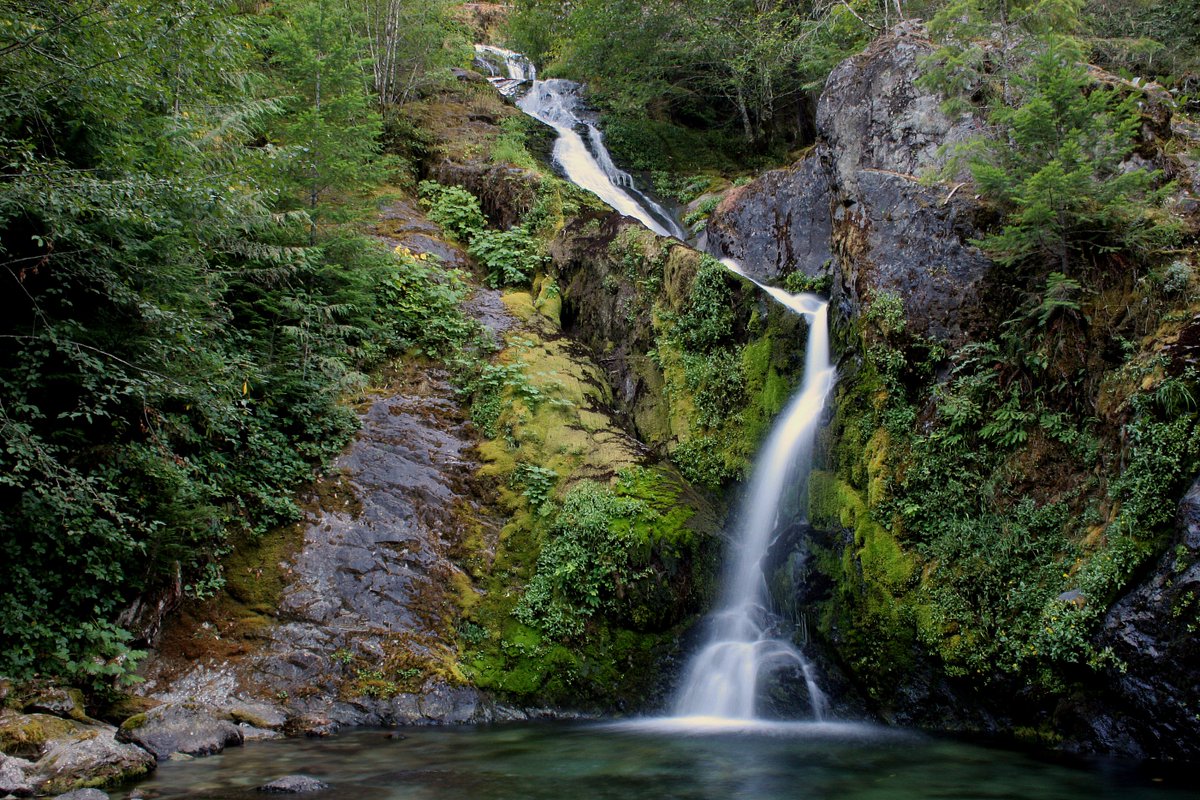 willametteNF's tweet photo. Enjoy some #OregonGreen on #StPatricksDay https://t.co/NCYAiHC0dq