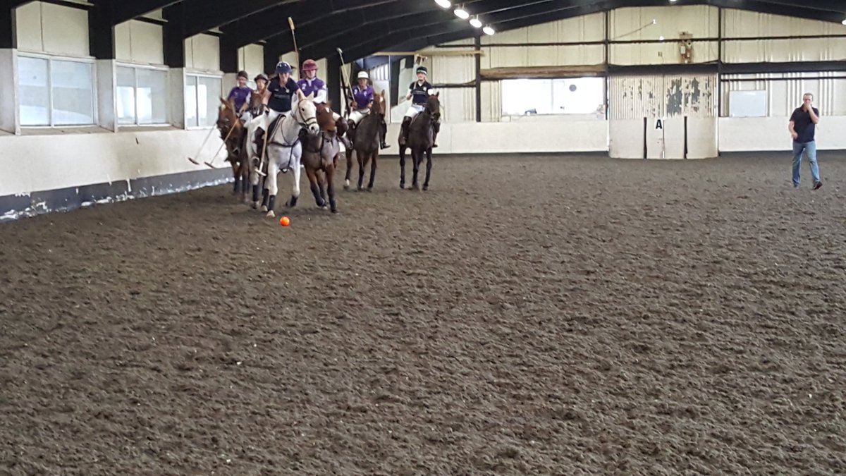 Conroy Polo tweet media