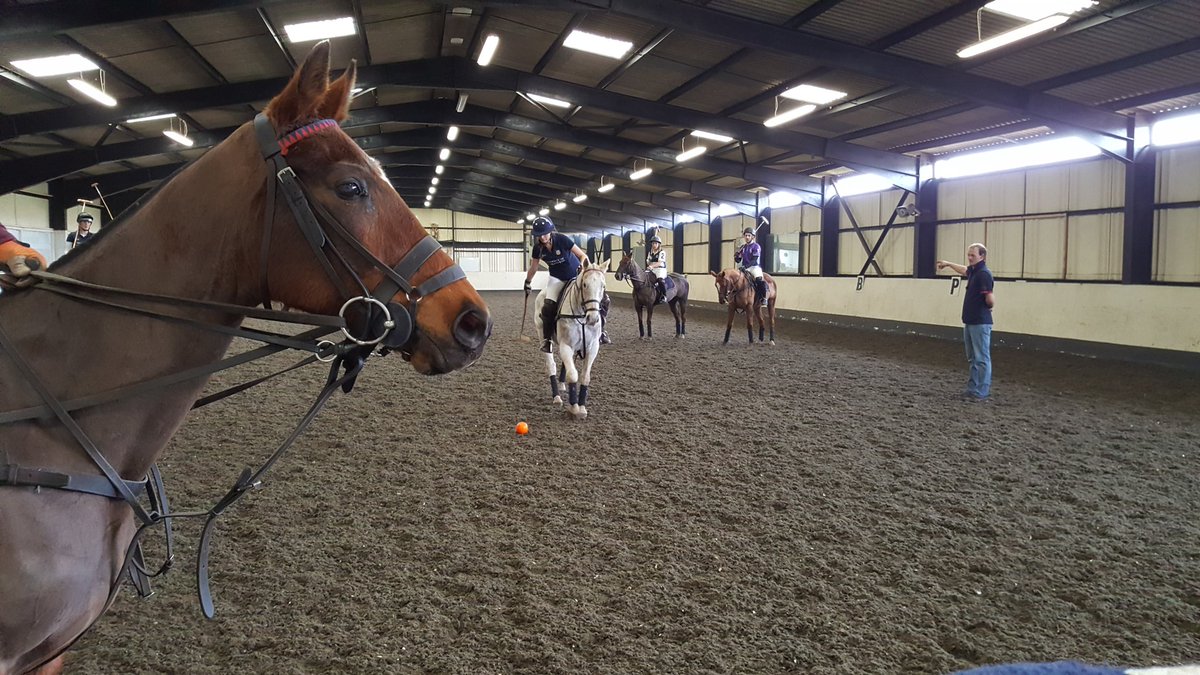 Conroy Polo tweet media