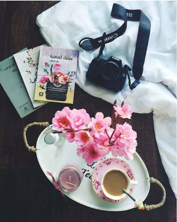 عـمر الگلام مايوصل احاسيسنا 
بالشكل الأصح، عمرنا ماتكلمنا بشكل الصريح ،وخبينا كم كلمه تحمل مليون شعور جواتنا