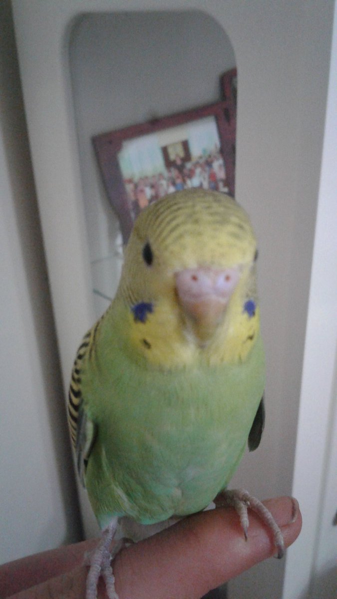 sefabvb's tweet image. yürekten seversen mesafeler piç olur cikcik kardeş