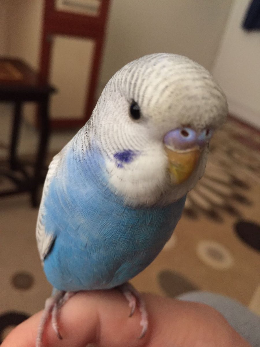 sefabvb's tweet image. yürekten seversen mesafeler piç olur cikcik kardeş