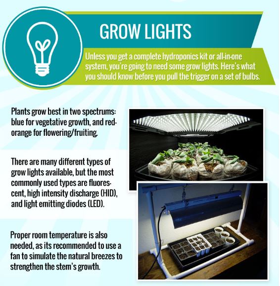easyponic's tweet photo. 💡💡 Here's what you should know before you pull the trigger on a set of bulbs #hydroponics #nanny #easyponic #bulbs https://t.co/Qt0wqartsX