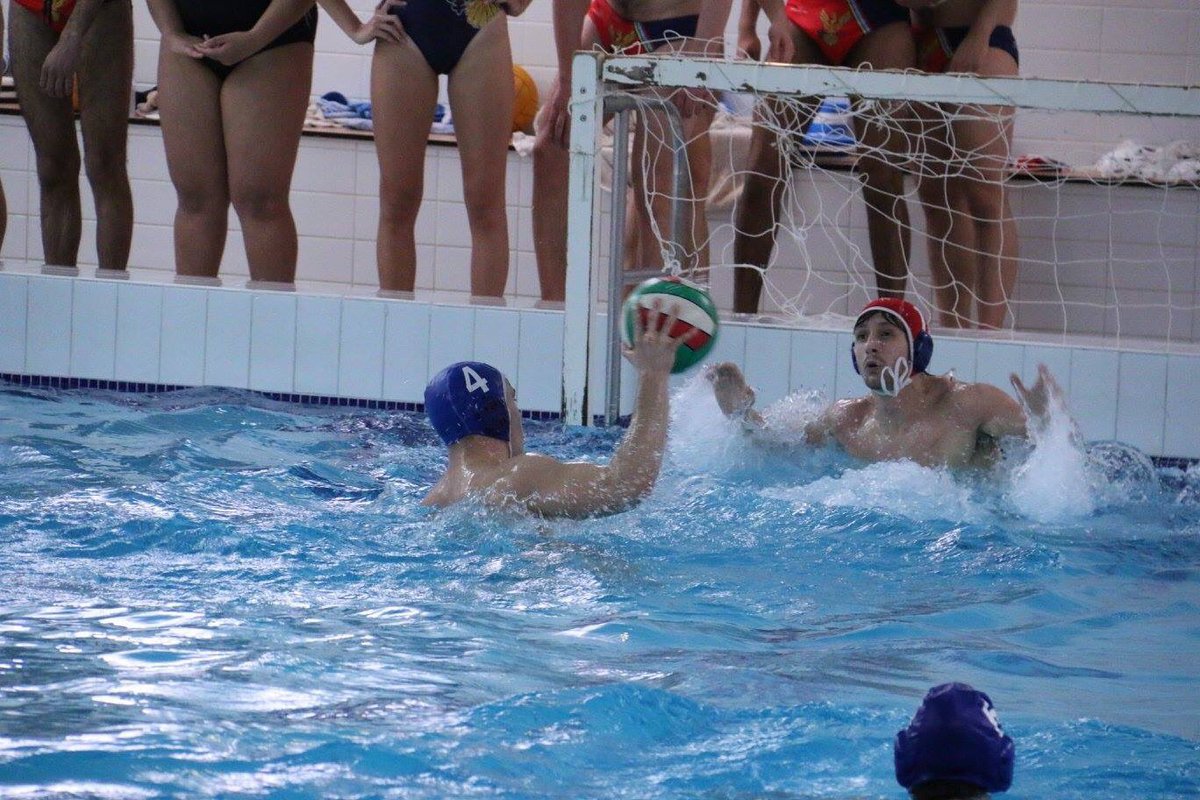 IC Swim & Water Polo tweet media