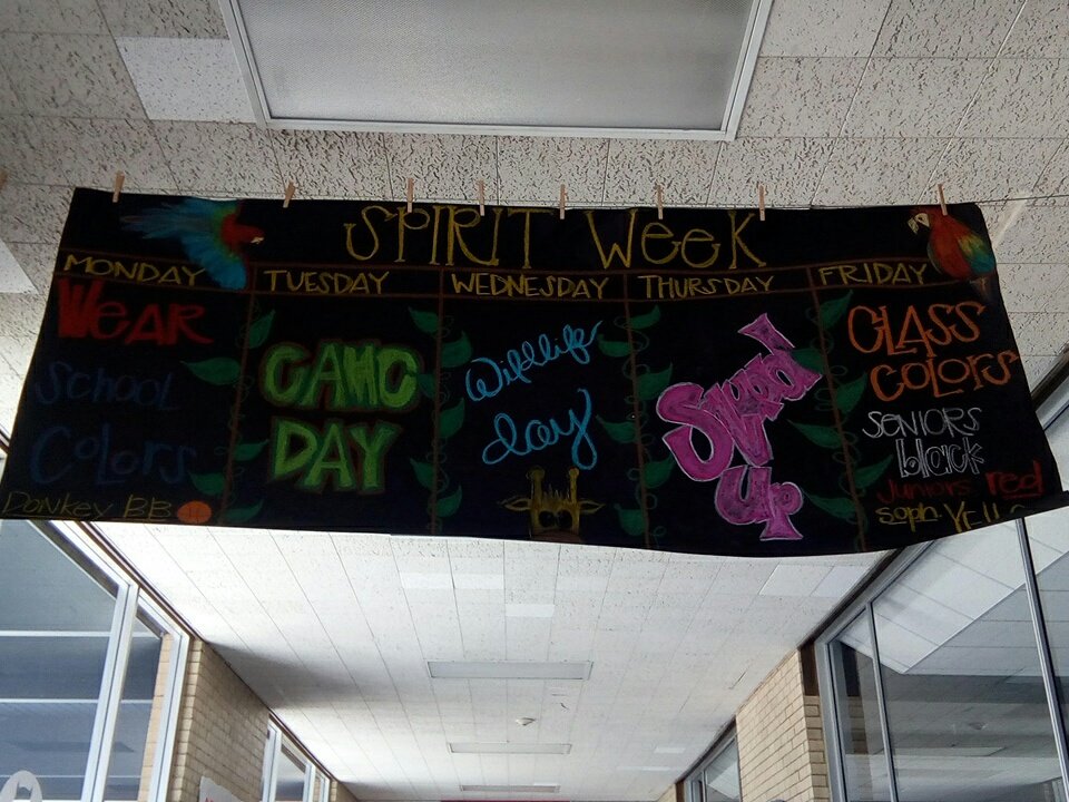 devilstudentsec's tweet photo. SPIRIT WEEK NEXT WEEK!! THEME IS: SURVIVOR. 🌴 https://t.co/HDzrYGA8kg