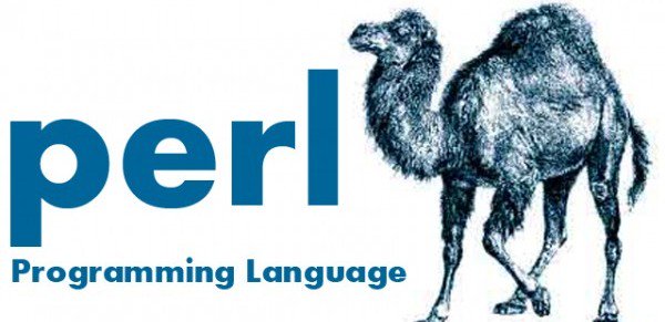 three_cube's tweet photo. Scripting for Hackers, Part 2: Building a Port Scanner with Perl #perl #cybersecurity #scriptin
https://t.co/FSneRKsMBu https://t.co/a8ruEKoABZ