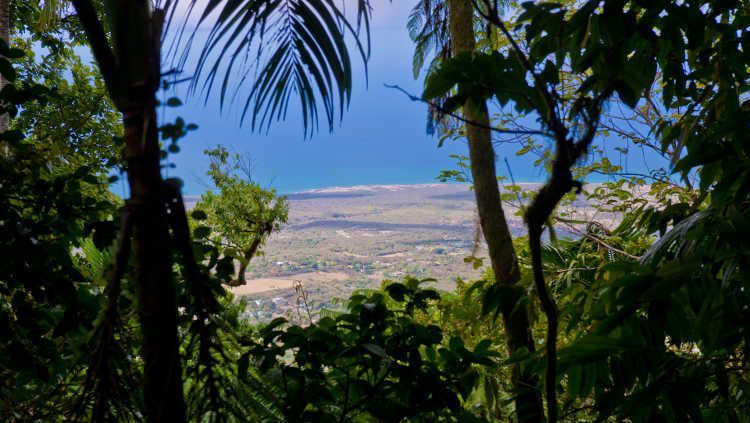 BookNevis's tweet image. Day Trip Nevis 
#biketour #horseriding #hiking #diving #hamilton #history #golf #cycling #Vacation #StKitts buff.ly/2mdSJMZ