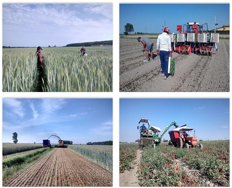 consorziobiogas's tweet photo. #energia dalla terra senza competizione con food, per agricoltori è possibile/auspicabile se #biogas fattobene https://t.co/SMPTAoZeEy https://t.co/PxRuuWPAHK