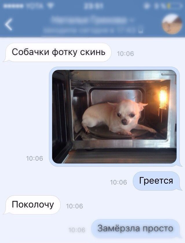 Incorn_Magic's tweet image. Родители уехали а море,а наш собакен остался со мной