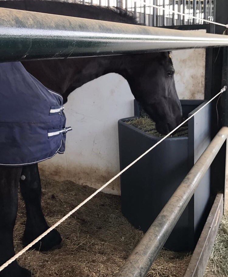 Nuevas heneras esquina box para evitar desperdicio #tonohipica® #caballos