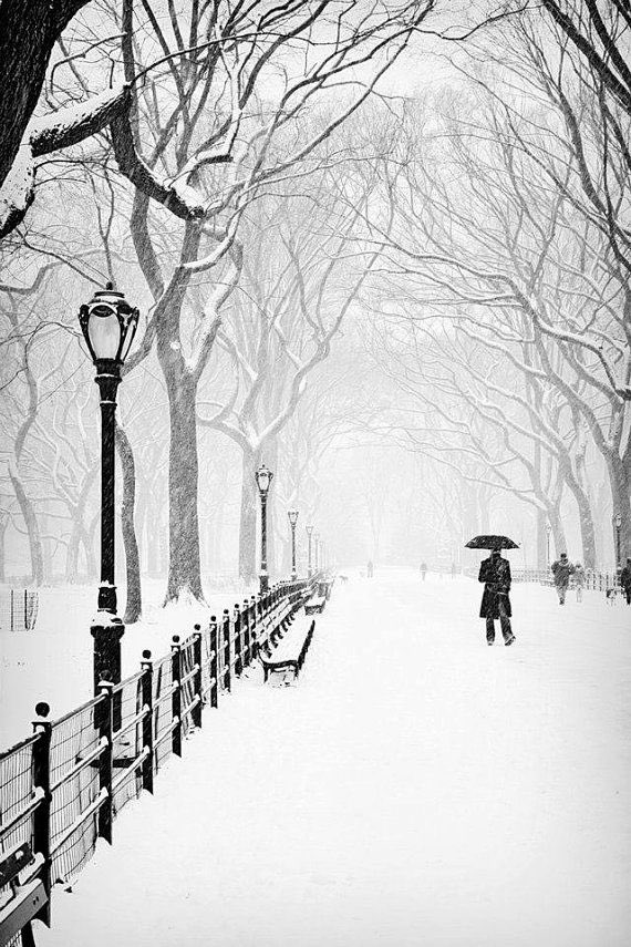 Snow Days ❄️
 #brooklyn #BK #newyork #newyorkcity