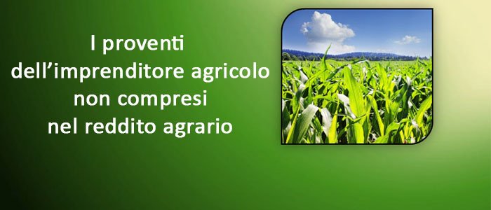 Consulenza_Agr's tweet photo. Scopri ora la nuova #guida prodotta dai nostri #esperti: come gestire i #proventi dell'#imprenditore #agricolo
https://t.co/AissiMrLcU https://t.co/O4odyu1bqy