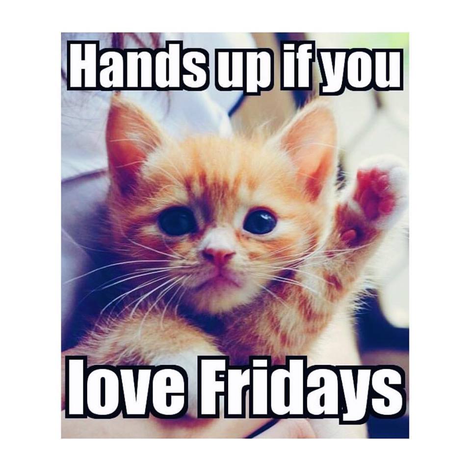 SkillServe's tweet photo. Love Friday's? I know I do! #FriYAY #Friday #WeekendVibes https://t.co/aLjsopJjU6
