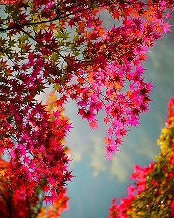 The purest moment is...
... the one when you express yourself