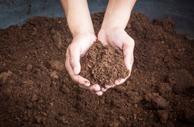 Hemp can clean the soil and rejuvenate our planet! It also doesn't need pesticides to grow! 🌱🌱🌱 Superegoclothiers.com #Hemp #HempFacts