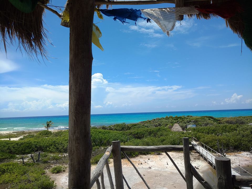 ¡Exploremos #IslaCozumel con <a href="/exploreanczm/">Explorean Cozumel</a>!
<a href="/theexplorean/">theexplorean</a> @XplorersPassage <a href="/AbrahamLevy/">Natural Explorer</a> #ExploreMore @SoyEberLanda <a href="/ixpanea/">Ixpanea</a> <a href="/ChumelTorres/">Chumel Torres</a>