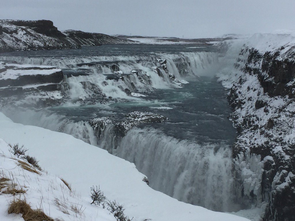 Latin in Iceland tweet media