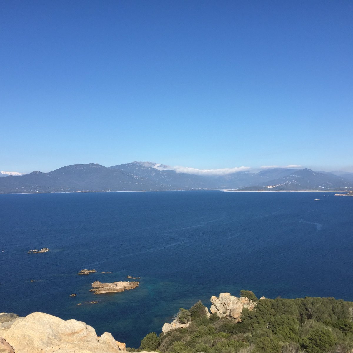 DSaveria's tweet photo. Adoption du plan de gestion du site Natura2000 Campomoro.Le #CD2A et ses partenaires protègent et valorisent #Patrimoine#Corse @Natura2000FR https://t.co/zbpXBHLzEN