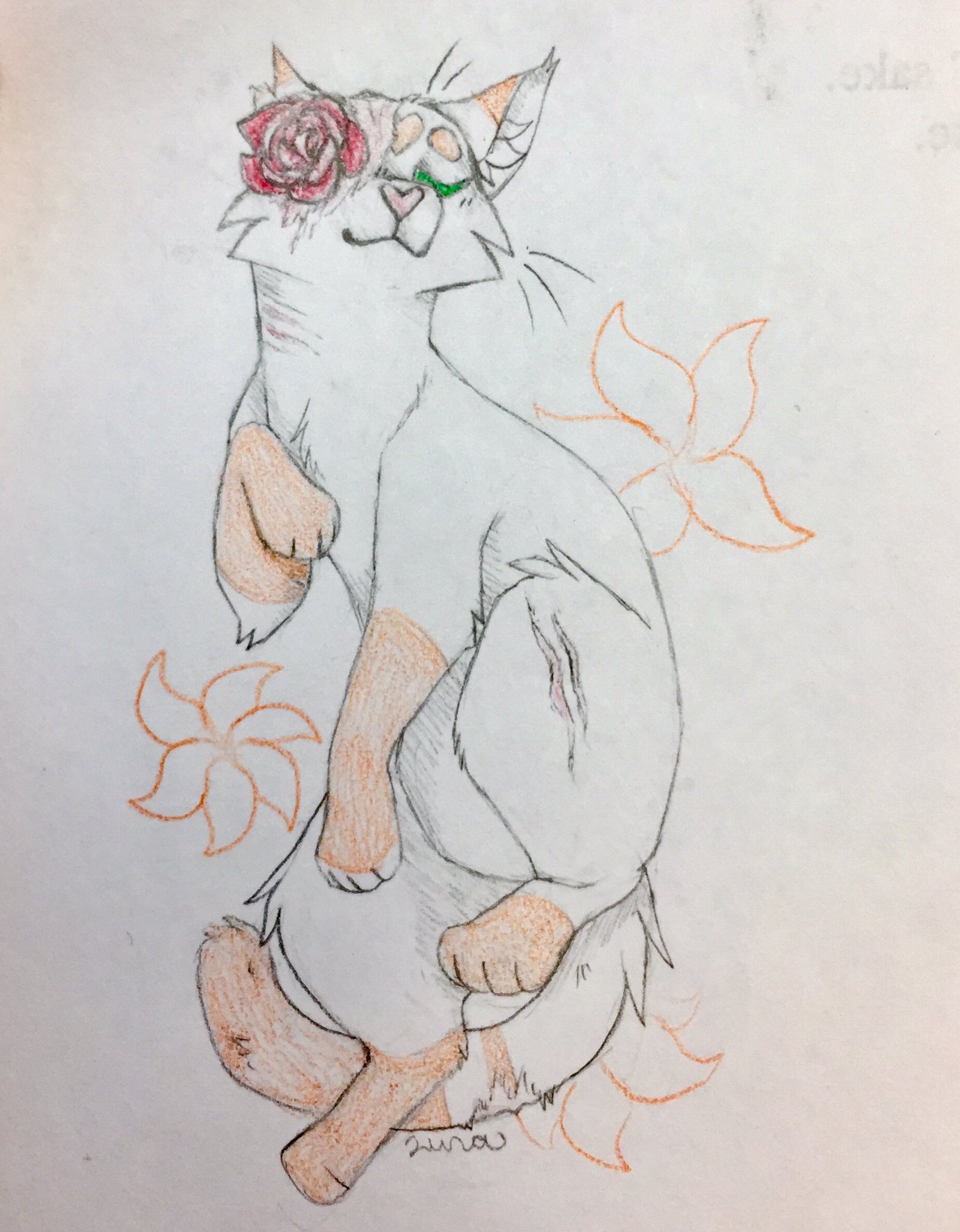 ☠️ Nightmare Luna ☠️ on Twitter: "Drawing warrior cats with flowers