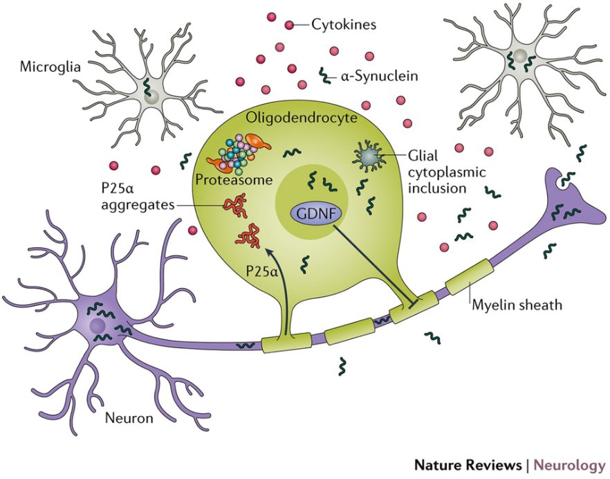 NatRevNeurol tweet picture